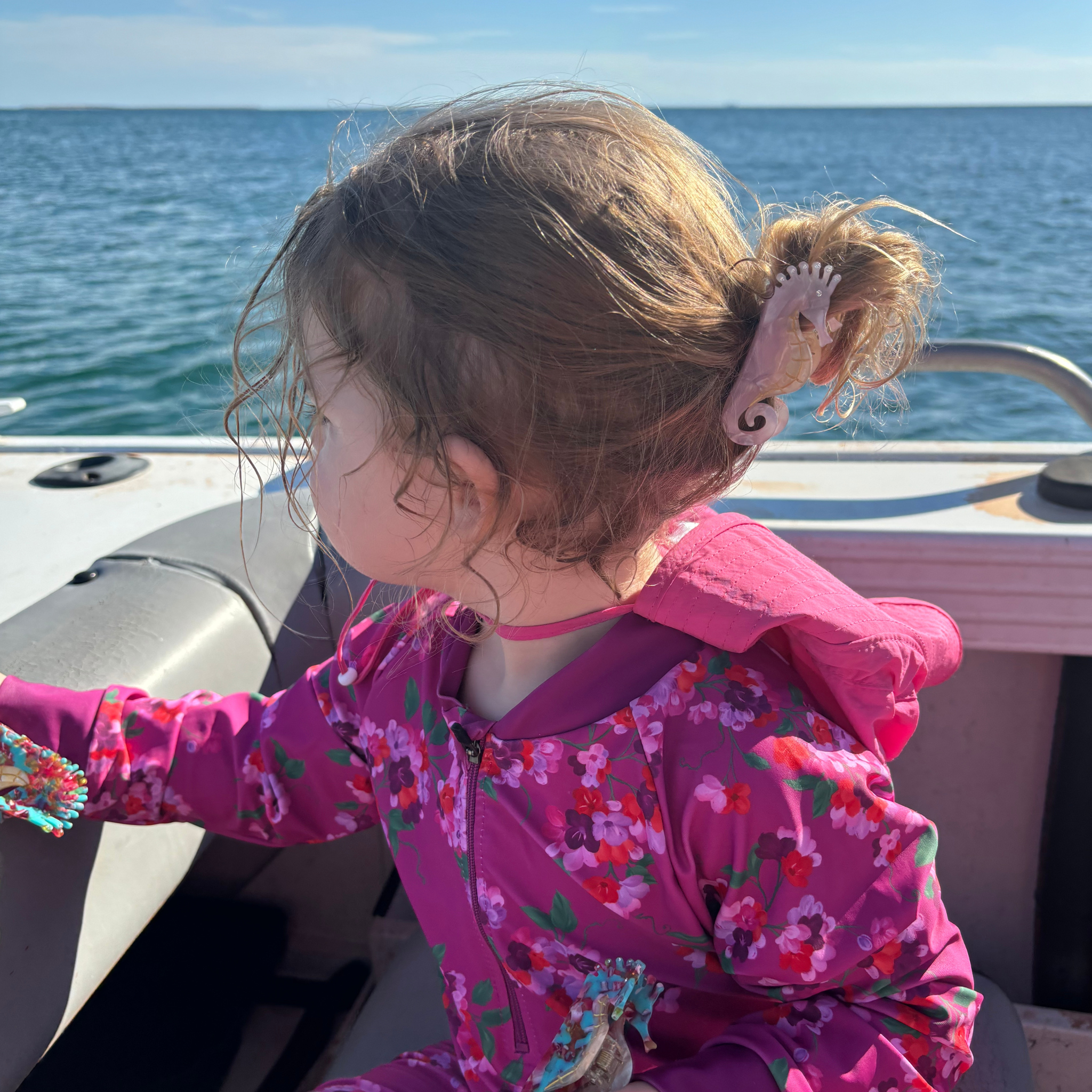 Mini Sea Horse Hair Claw