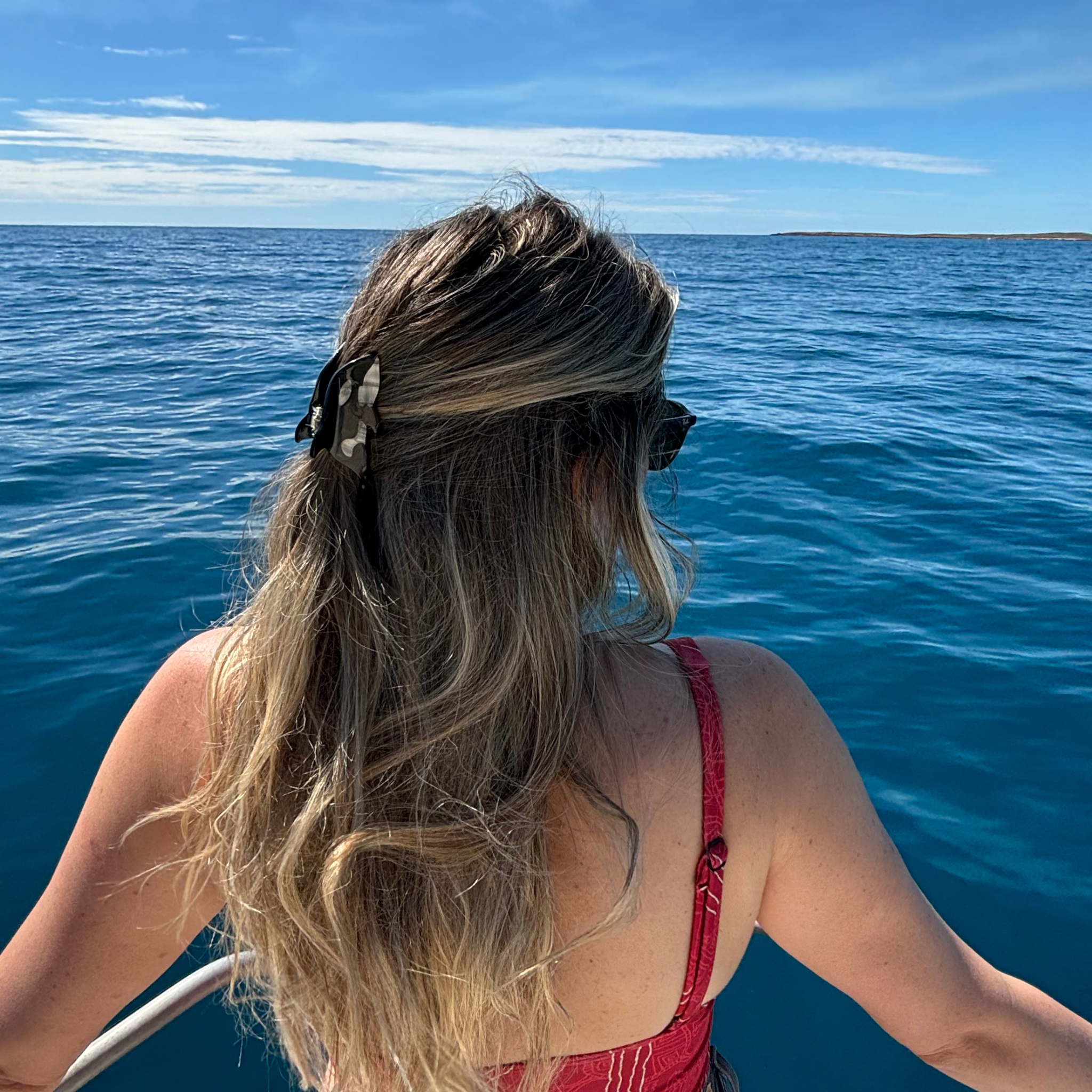 Mini Orca (Killer Whale) Hair Claw