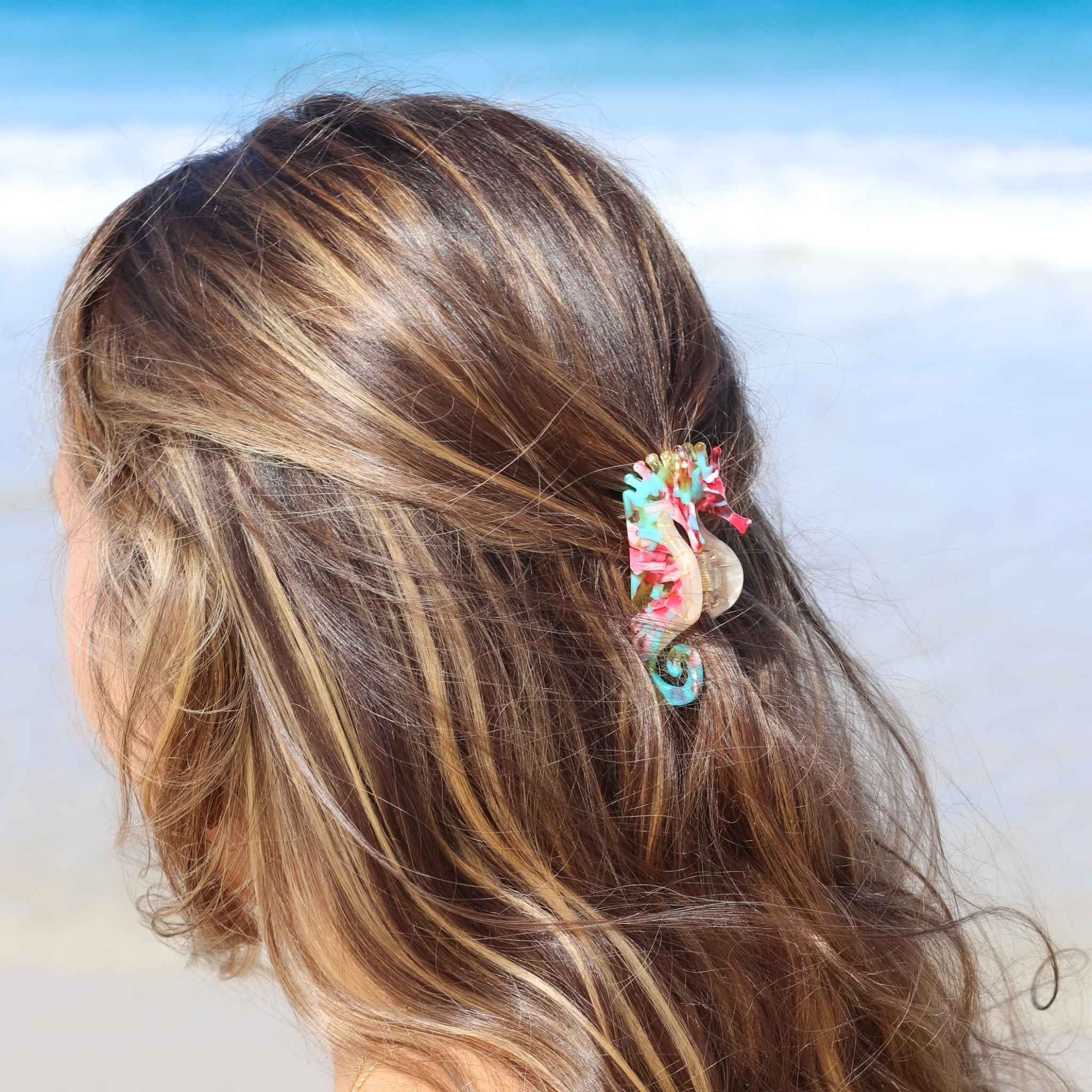 Mini Sea Horse Hair Claw