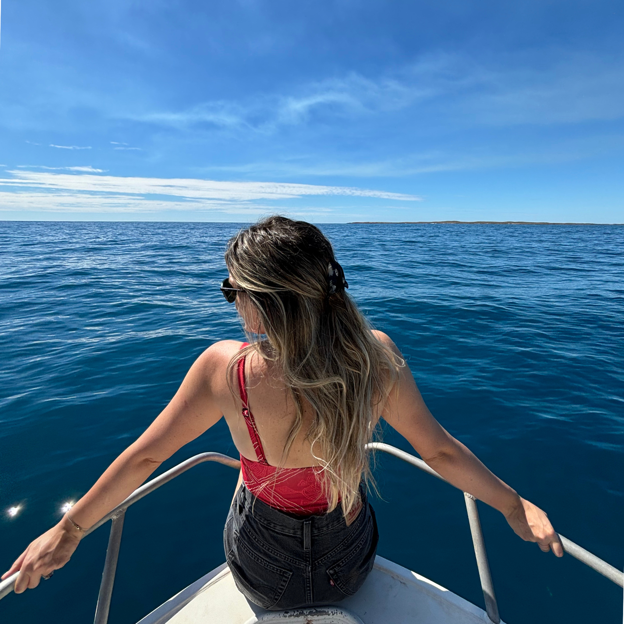 Mini Orca (Killer Whale) Hair Claw