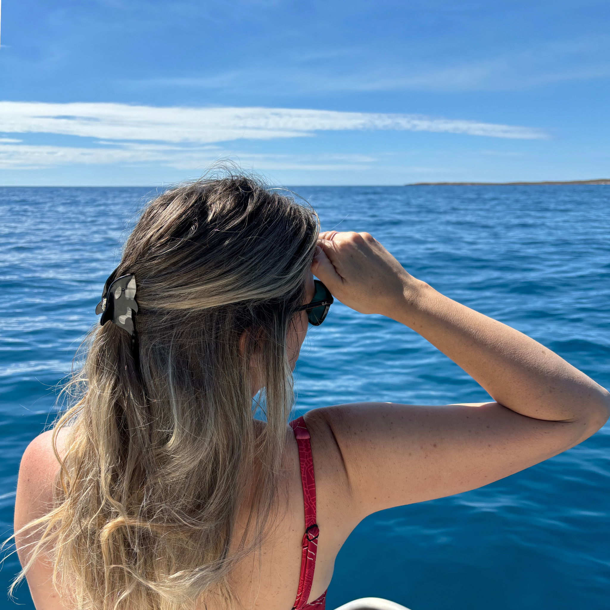 Mini Orca (Killer Whale) Hair Claw