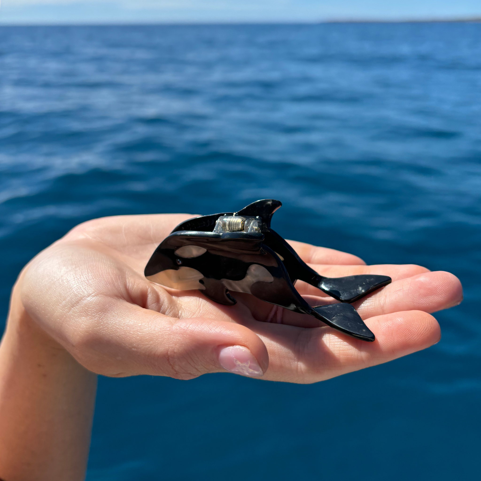 Mini Orca (Killer Whale) Hair Claw