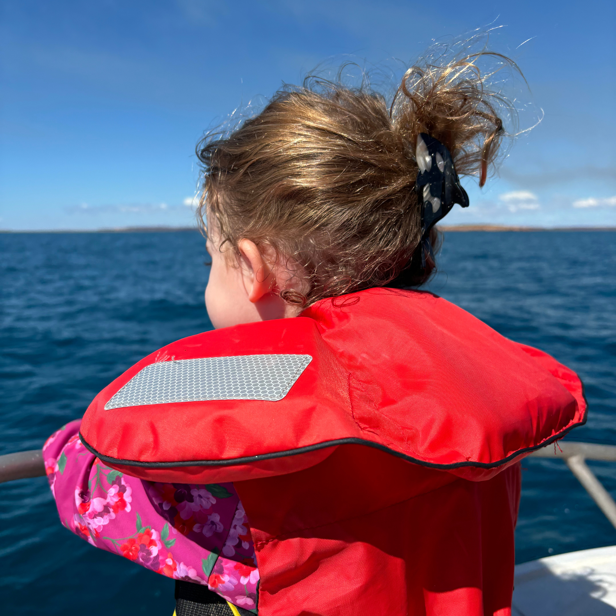 Mini Orca (Killer Whale) Hair Claw