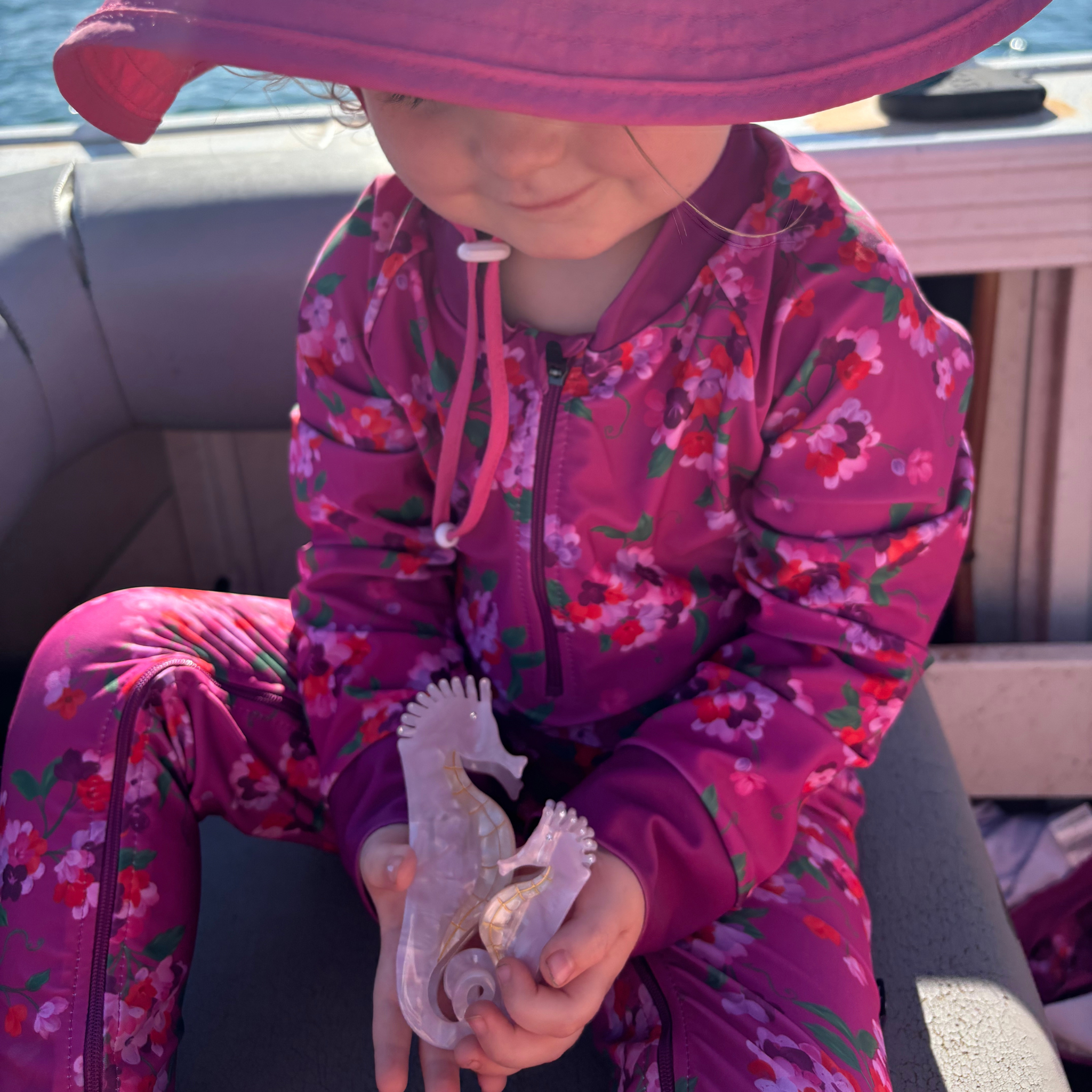 Mini Sea Horse Hair Claw