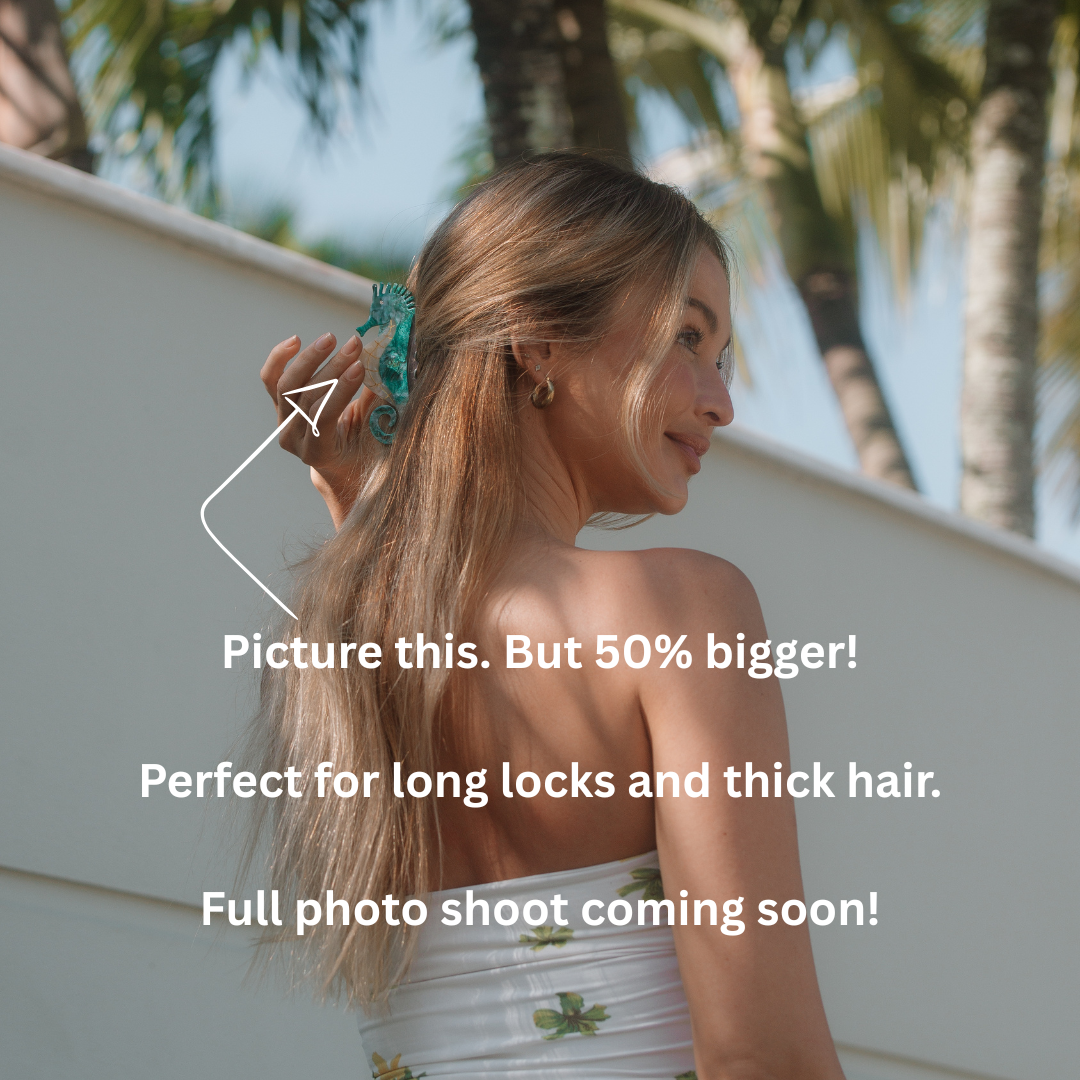 Jumbo Seahorse Hair Claw