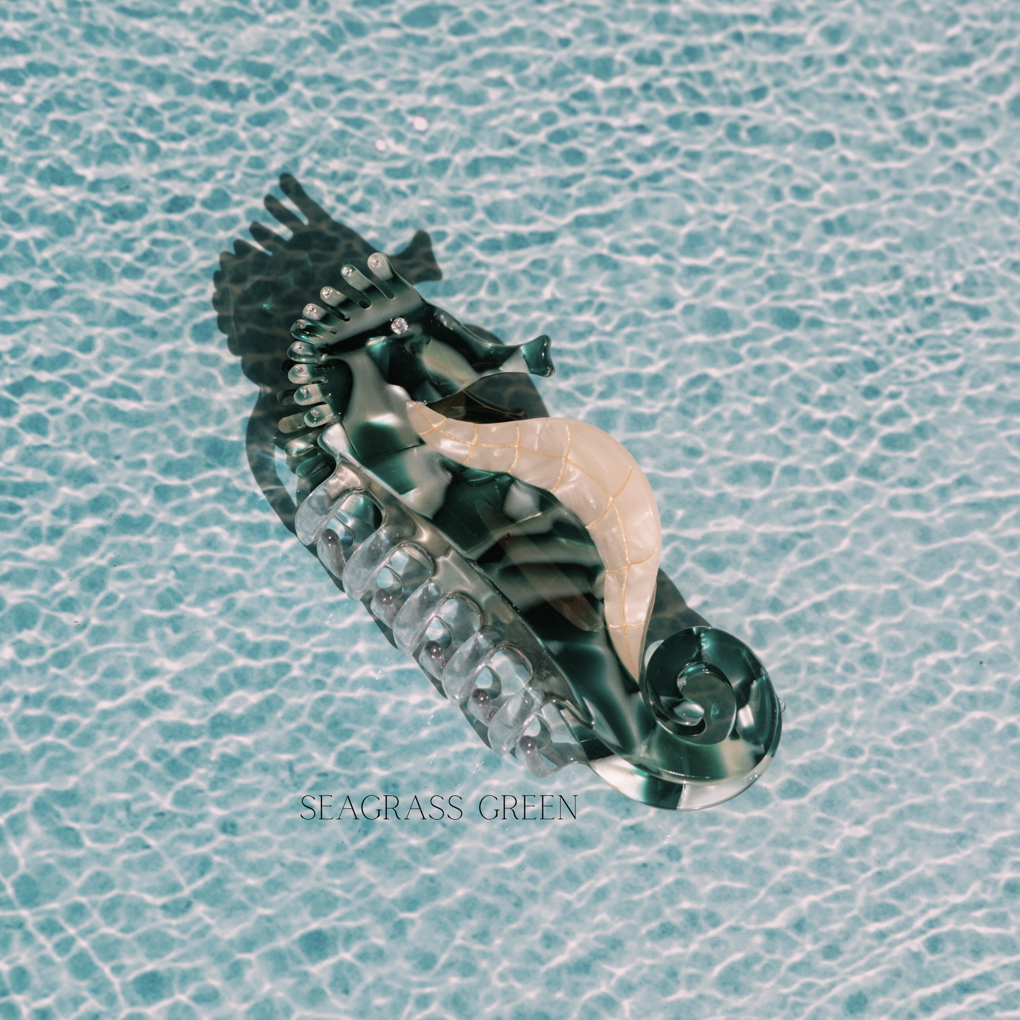 Seahorse Hair Claw